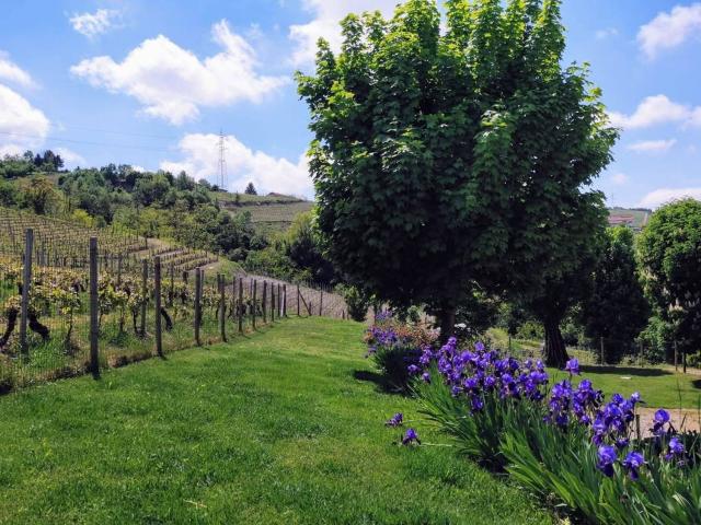 Rustico in vendita a Piemonte, Cuneo