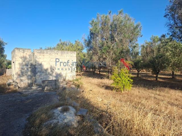 Rustico in vendita a Latiano, Brindisi