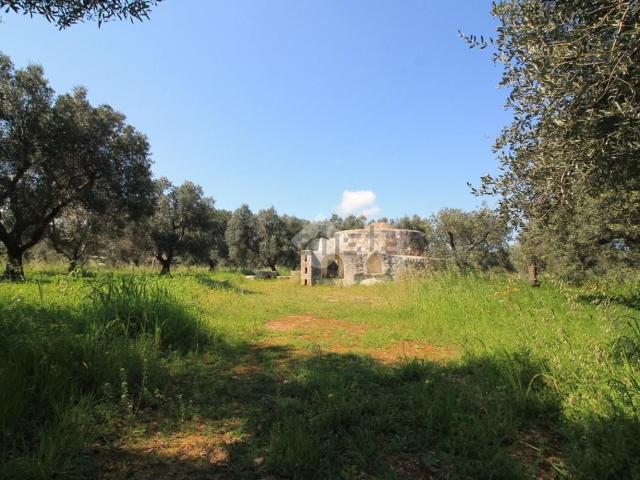 Rustico in vendita a Puglia, Brindisi