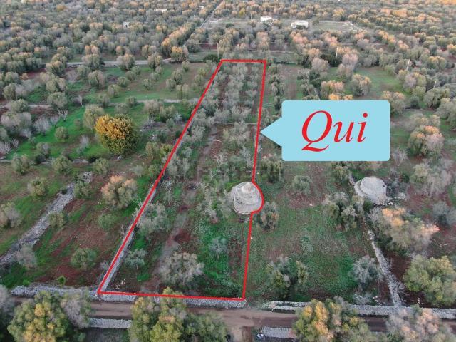 Rustico in vendita a Puglia, Brindisi