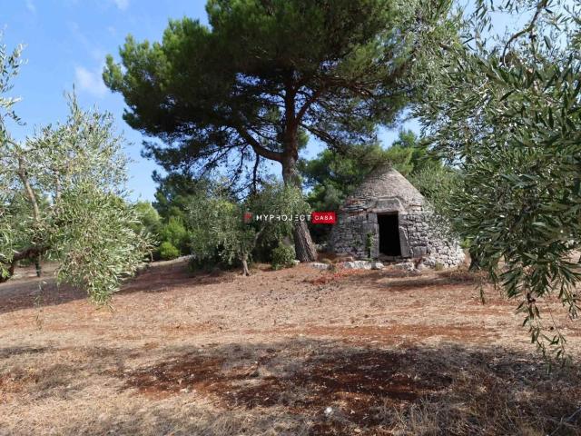 Rustico in vendita a Puglia, Brindisi
