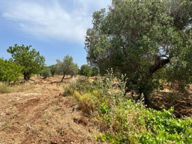 Rustico in vendita a Contrada Spierti, Puglia