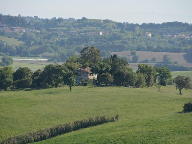 Rustico in vendita a Orciano Pisano, Toscana