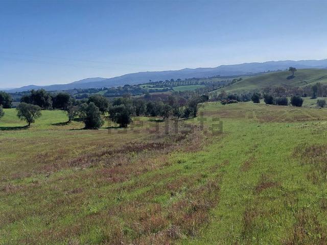 Rustico in vendita a Pomonte, Scansano