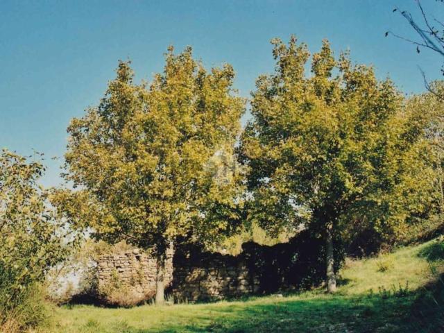 Rustico in vendita a Cannara, Umbria