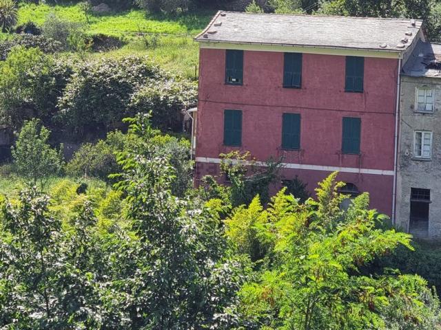 Rustico in vendita a Avegno