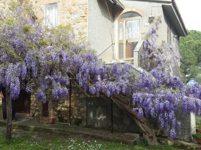 Rustico in vendita a Campagnatico, Toscana