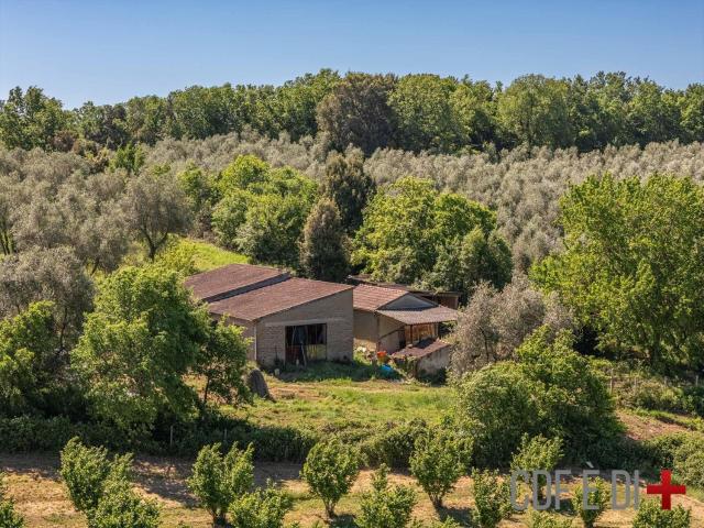 Rustico in vendita a Unione di Comuni Montani Colline del Fiora, Sorano