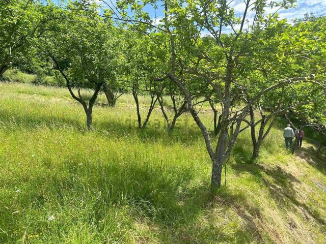 Rustico in vendita a Unione di comuni Montana Lunigiana, Fivizzano