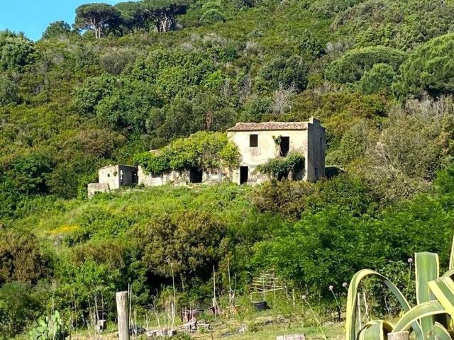 Rustico in vendita a Campo nell'Elba, La Pila