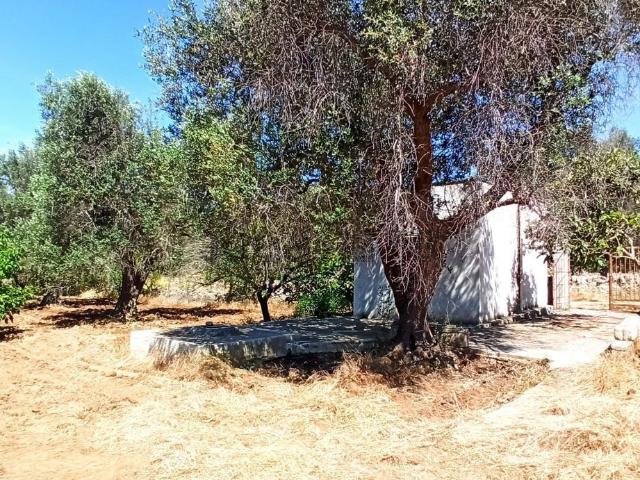 Rustico in vendita a Puglia, Brindisi