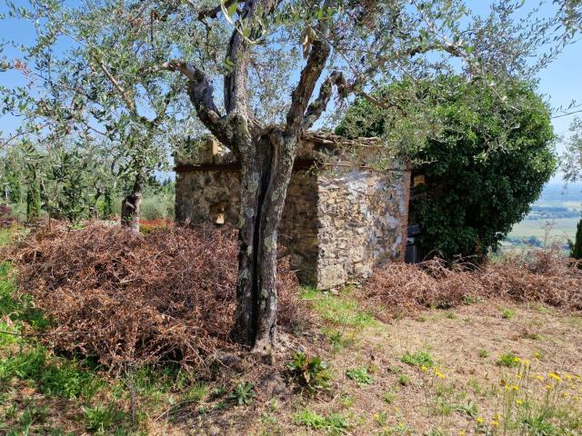 Rustico in vendita a Colle di Compito, Capannori