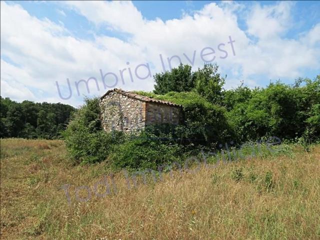 Rustico in vendita a Montecchio, Umbria