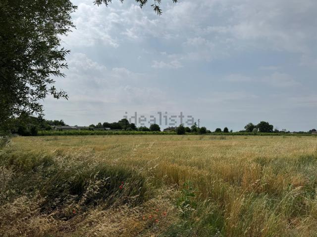 Rustico in vendita a Sforzin, Salgareda
