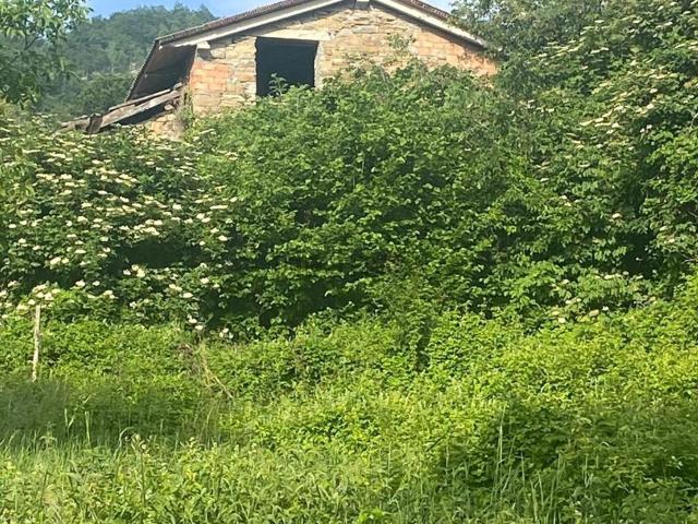 Rustico in vendita a Appennino Reggiano, Re