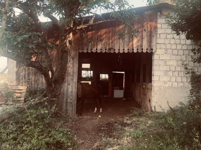 Rustico in vendita a Negrar, Veneto