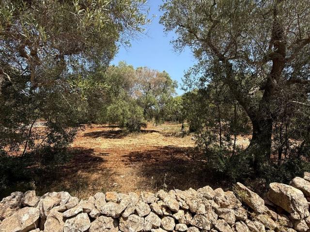 Rustico in vendita a Puglia, Brindisi