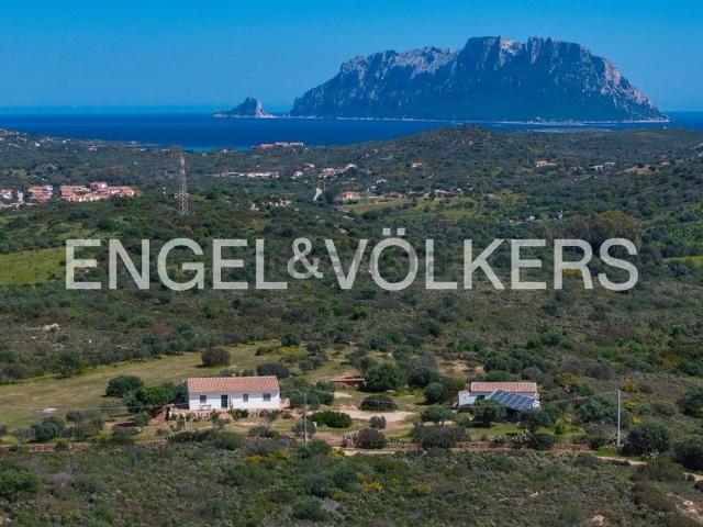 Rustico in vendita a San Pantaleo