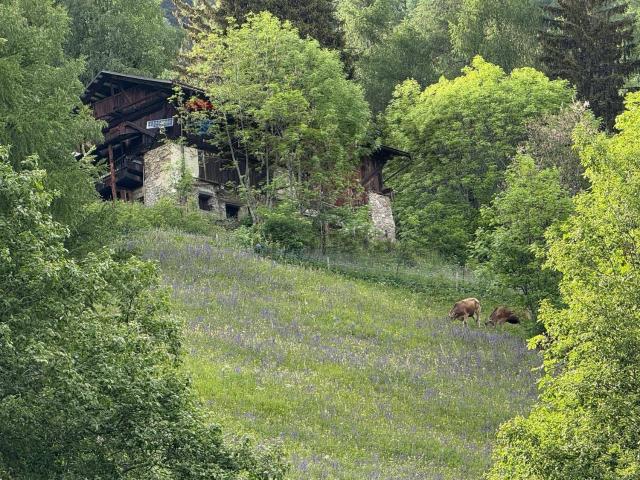 Rustico in vendita a Comunità della Valle di Sole, Pejo