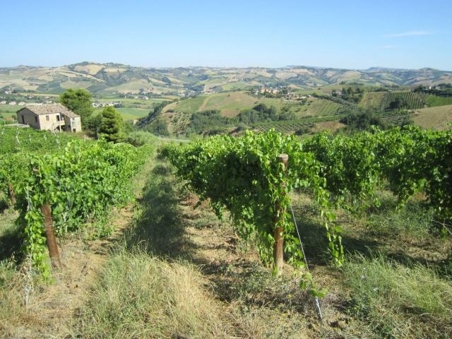 Rustico in vendita a Marche, Ascoli Piceno