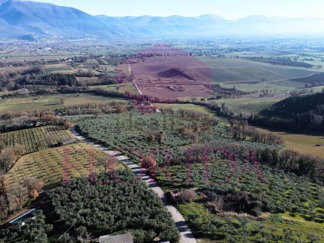 Rustico in vendita a Montefalco, Umbria