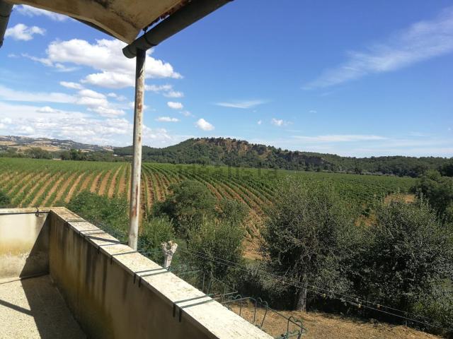 Rustico in vendita a Scansano, Grosseto