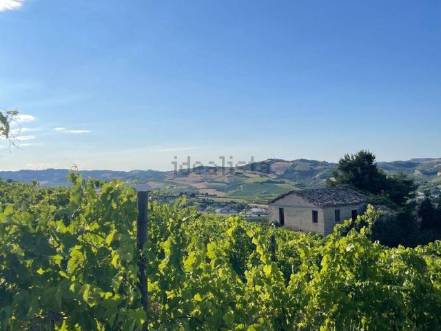 Rustico in vendita a Marche, Ascoli Piceno