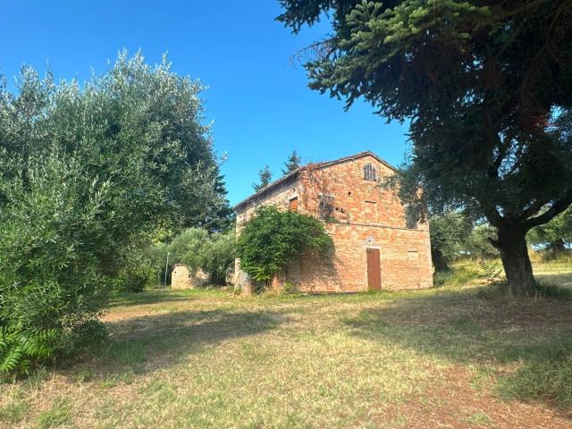 Rustico in vendita a Strada, Marche