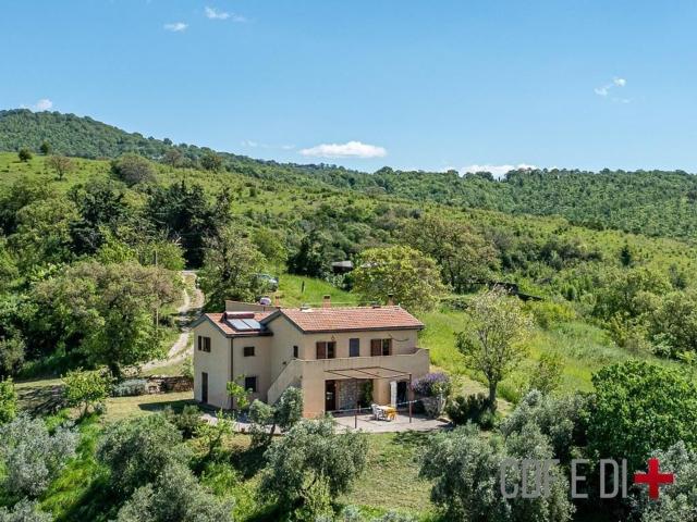 Rustico in vendita a Scansano, Toscana