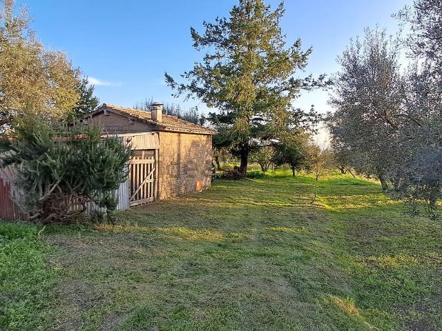 Rustico in vendita a Le Mosse, Montefiascone