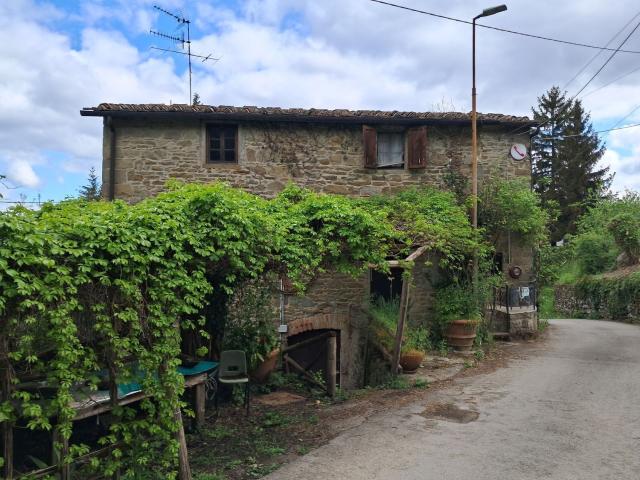 Rustico in vendita a Unione di Comuni Valdarno e Valdisieve, Pelago