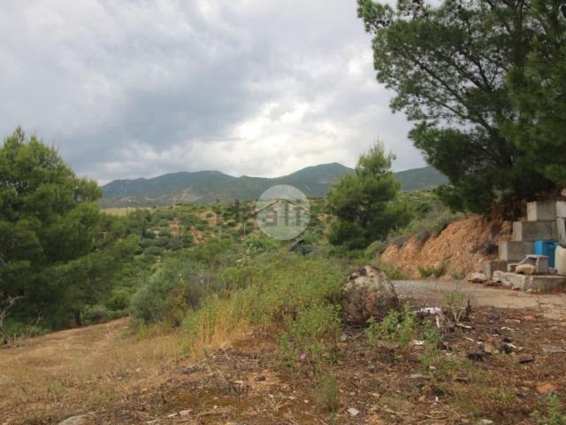 Rustico in vendita a Sinnai, Sardigna/Sardegna