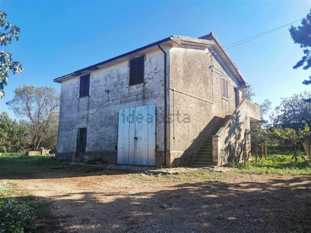 Rustico in vendita a Tuscania, Lazio