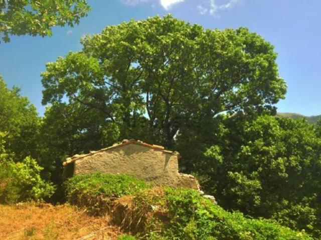 Rustico in vendita a Campodonico, Marche