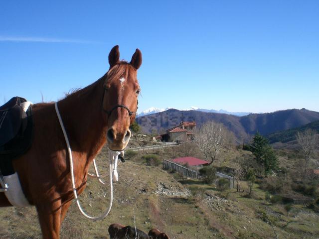 Rustico in vendita a Calice Al Cornoviglio, Liguria