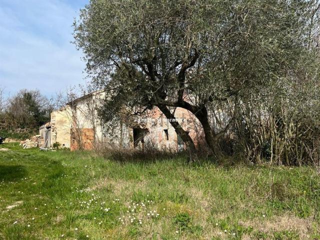 Rustico in vendita a San Pietro, Montegridolfo