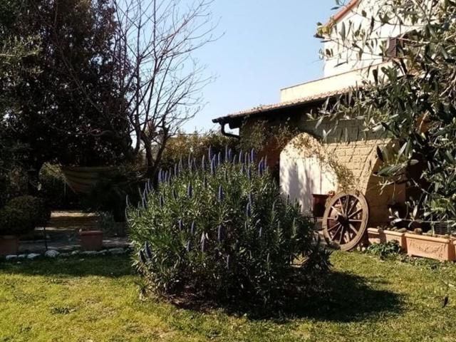 Rustico in vendita a Porta a Terra, Piombino