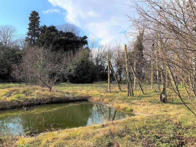 Rustico in vendita a Rosà, Veneto