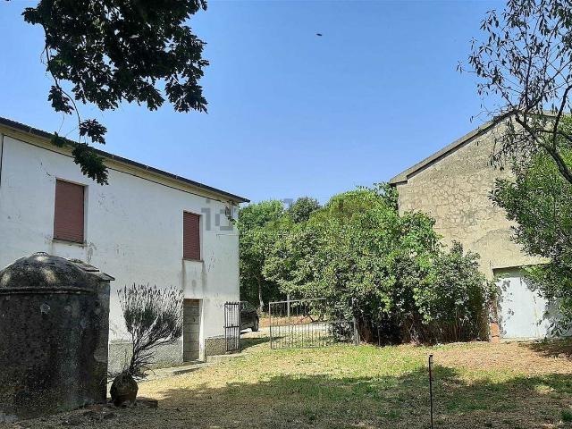 Rustico in vendita a Scansano, Toscana