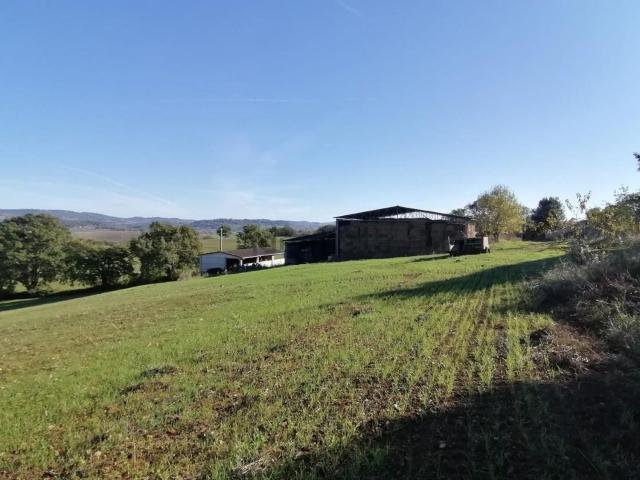 Rustico in vendita a Manciano, Grosseto
