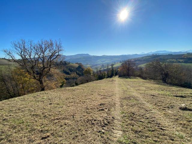 Rustico in vendita a Marche, Ascoli Piceno