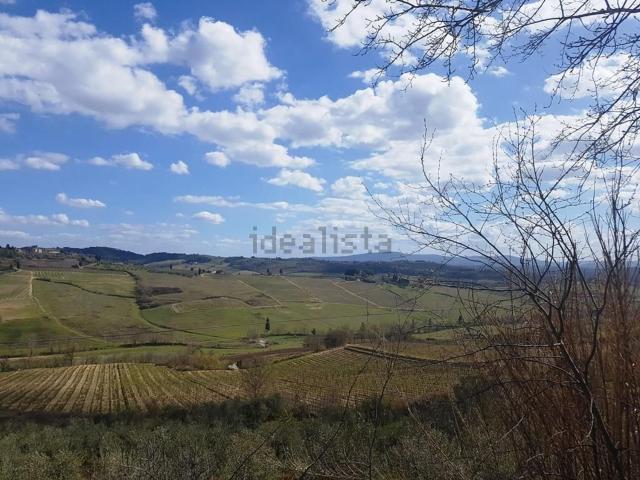 Rustico in vendita a Calcinaia, Lecchi