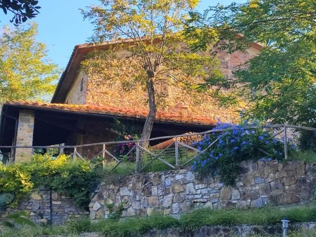 Rustico in vendita a Polveraia, Scansano