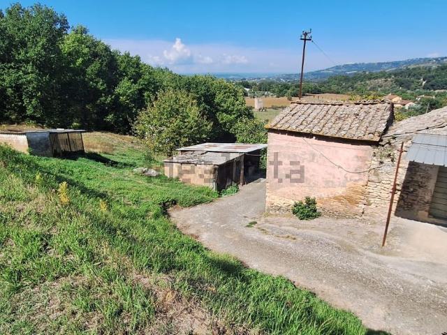 Rustico in vendita a Petignano, Orte
