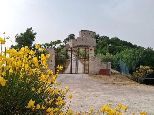 Rustico in vendita a Marche, Pesaro E Urbino
