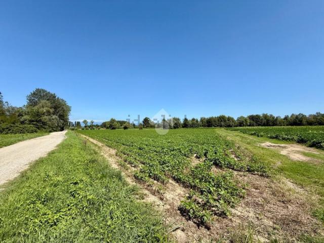 Rustico in vendita a Azzano Decimo, Friuli-Venezia Giulia