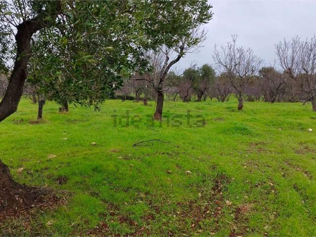 Rustico in vendita a Contrada Badessa, Puglia