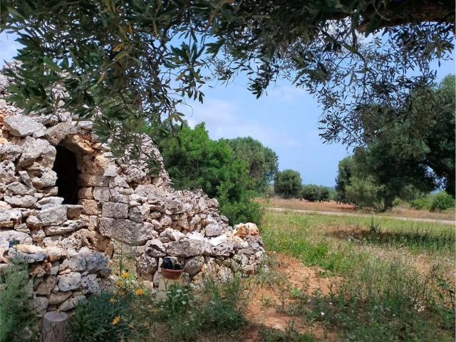 Rustico in vendita a Puglia, Brindisi