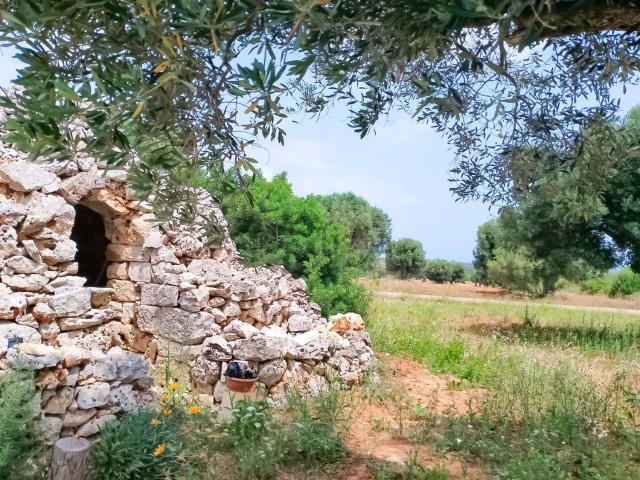 Rustico in vendita a Puglia, Brindisi