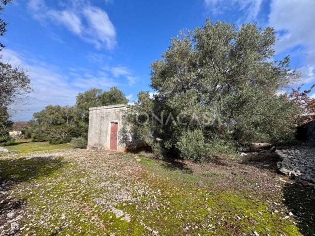 Rustico in vendita a Puglia, Brindisi